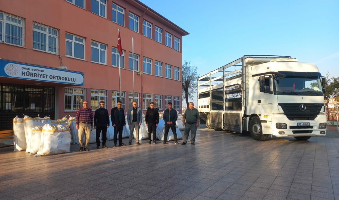 Merkezi İstanbul'da bulunan Marfil