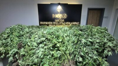 Bursa'da 3 katlı tekstil fabrikasının GDO'lu esrar üretim merkezine dönüştürüldüğü