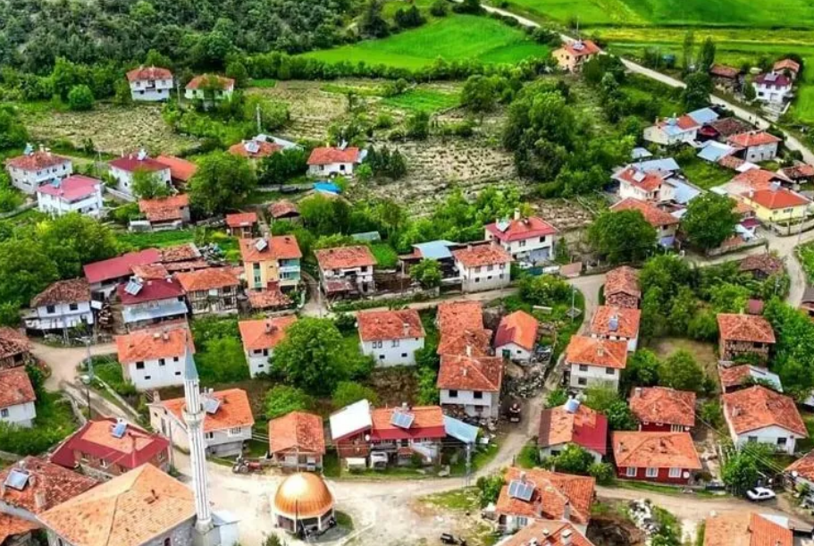 Türkiye'nin en çok göç