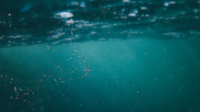 İngiltere'de yapılan bir araştırma, özellikle yıpranmış ve tüylü giysilerle ilgili