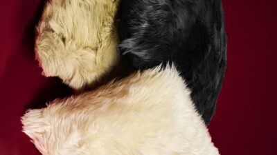 Sevgililer Günü’nde sevginin sınırsız ve zamansız gücünü keşfedin. DESA’nın zarif