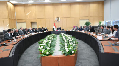 Mısır Sanayi Kalkınma Başbakan Yardımcısı, Sanayi ve Ulaştırma Bakanı Kamel