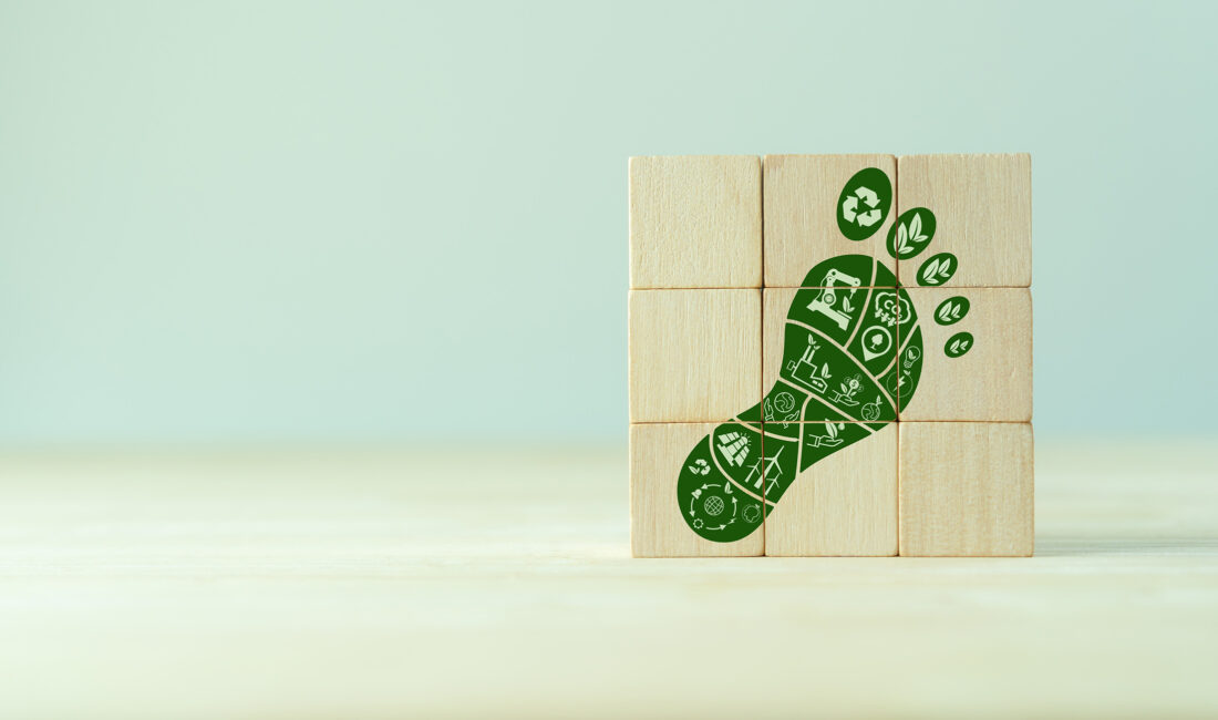 Hazır Giyim Sektöründe Sürdürülebilirlik URGE Projesi kapsamında verilen Kurumsal Karbon