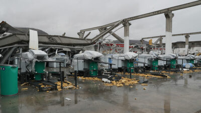 Türkiye'nin 50 binin üzerinde canını yitirdiği Kahramanmaraş merkezli 6 Şubat