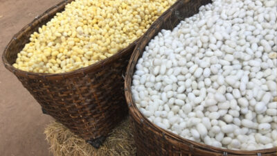 Tekstilin en katma değerli ürünlerinden ipekte tehlike çanları çalıyor. 90’larda