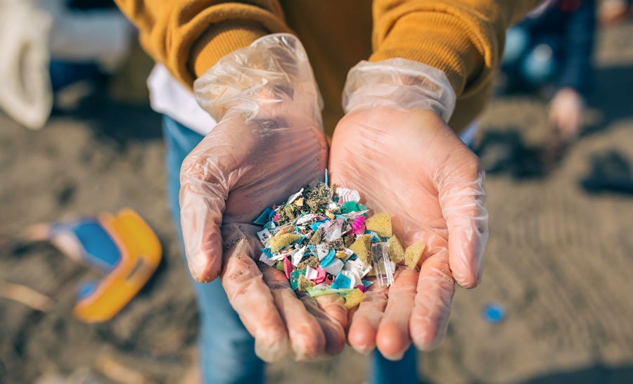 ABD’nin Oregon eyaletindeki bir araştırmada incelenen deniz ürünlerinin yüzde 99’unda