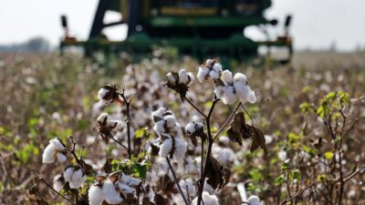 İzmir Ticaret Borsası (İTB) Yönetim Kurulu Başkan Yardımcısı Bülent Uçak,