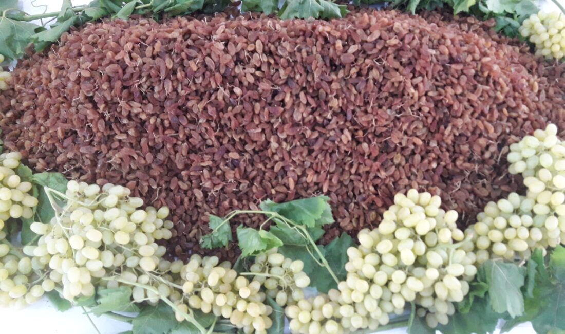 Türkiye, üretim ve ihracatında dünya lideri olduğu çekirdeksiz kuru üzümde