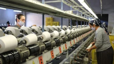 Türkiye Tekstil İşverenleri Sendikası (TTSİS) İkinci Başkanı Nevzat Seyok, sektör