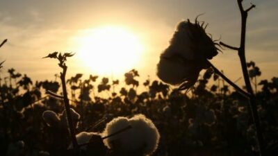 Pakistan, ABD Başkanı Donald Trump'ın ülkeye uyguladığı yüksek gümrük vergilerinden