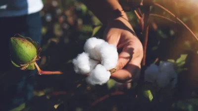 İzmir Ticaret Borsası’nın (İTB) Nisan ayı olağan meclis toplantısında pamuk