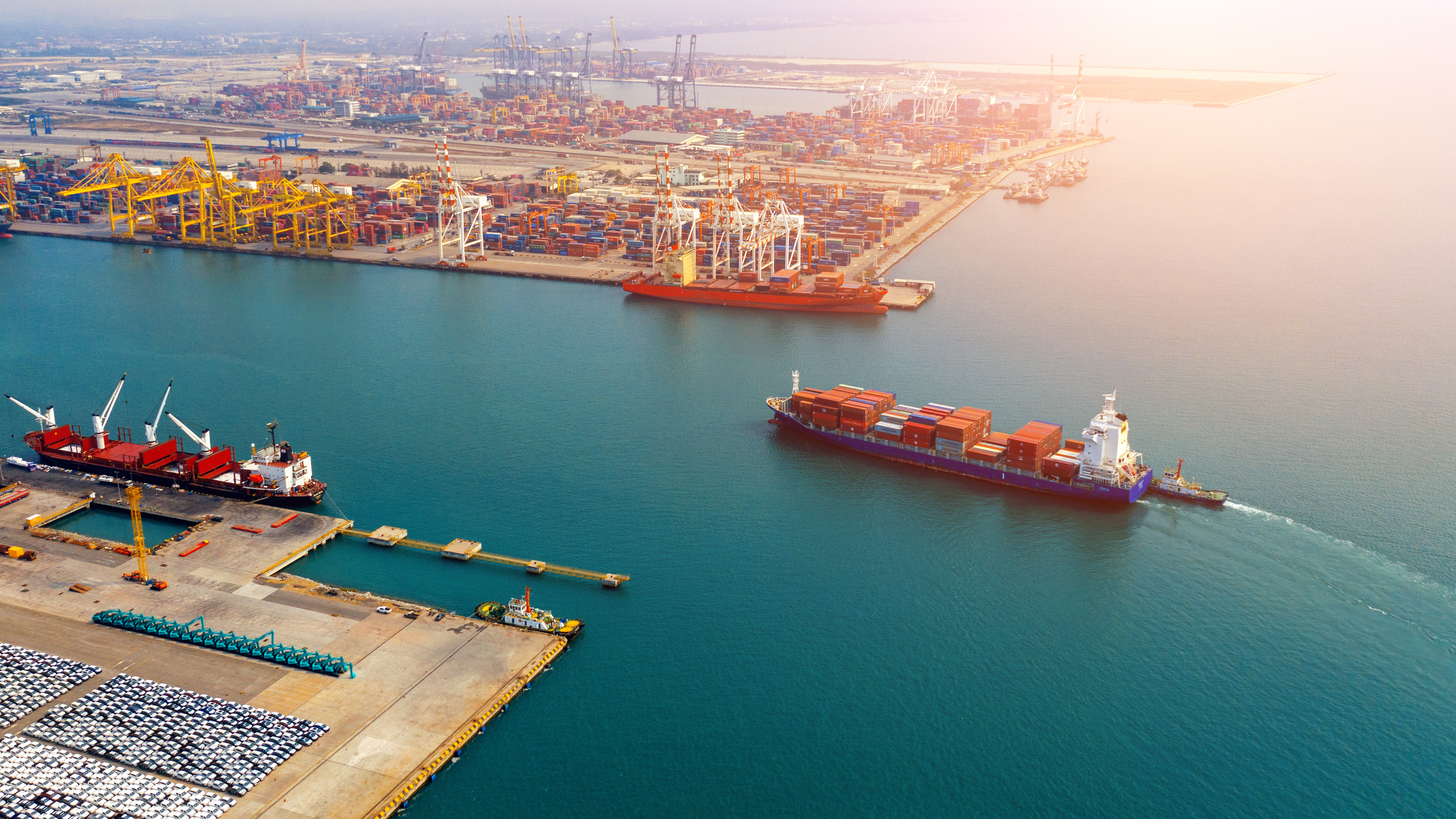 Arkas Holding Liman ve Terminal İşletmeleri Grubu Başkanı Özgür Kalelioğlu,