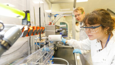 Imperial College London’ın biyoteknoloji girişimi Solena Materials, sentetik kumaşlara alternatif