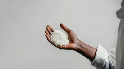 Fransız Reju şirketi, Ekim 2024'te Frankfurt'ta kurduğu ilk sentetik tekstil