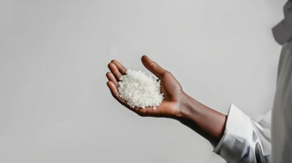 Fransız Reju şirketi, Ekim 2024'te Frankfurt'ta kurduğu ilk sentetik tekstil