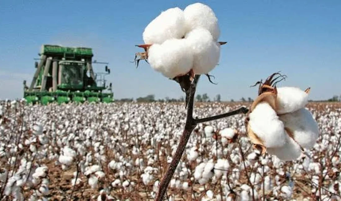 Pamuk sektörünün küresel çaptaki en önemli buluşmalarından biri olan Better Cotton