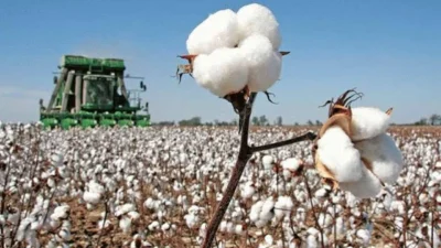Pamuk sektörünün küresel çaptaki en önemli buluşmalarından biri olan Better Cotton