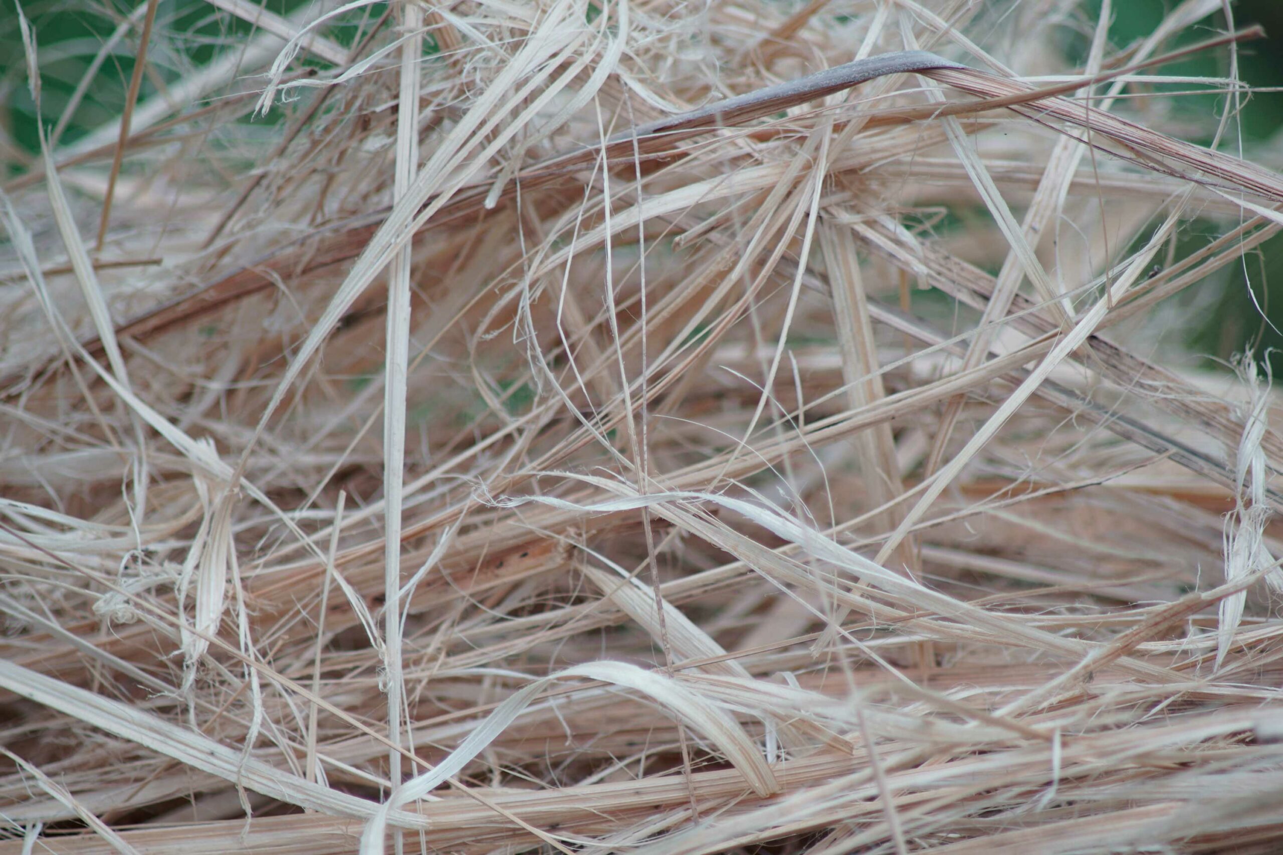 Chalmers Teknoloji Üniversitesi'nde yapılan araştırma, yulaf kabukları ve buğday samanı