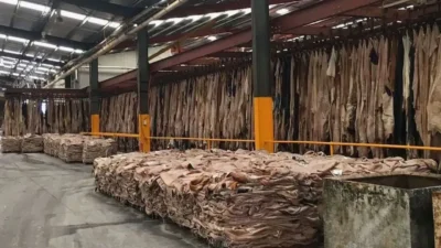 1987 yılından bu yana faaliyet gösteren deri üreticisi Aspells Deri