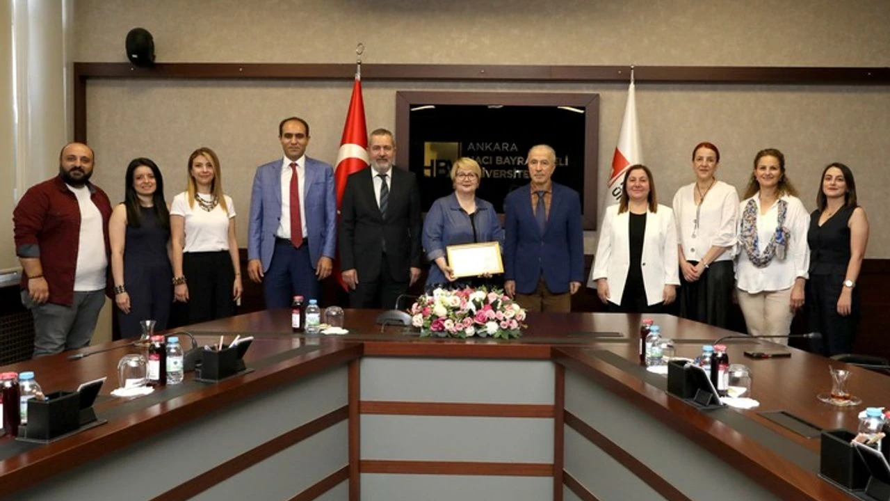 Ankara Hacı Bayram Veli Üniversitesi Tekstil Tasarımı Lisans Programı, TAPLAK