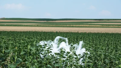 Çevreyi ve toplumu odağına alarak daha sürdürülebilir bir gelecek inşa