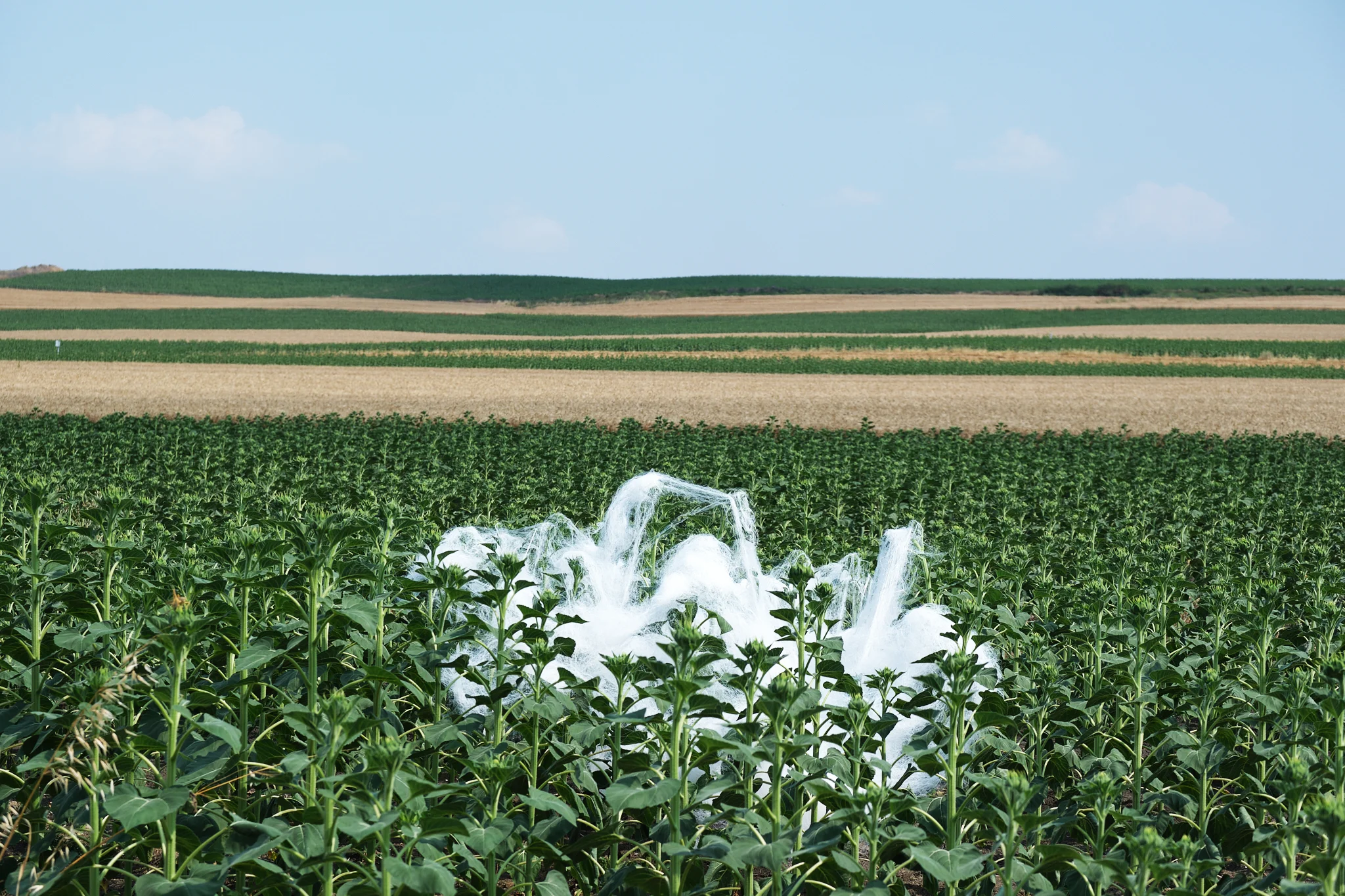 Çevreyi ve toplumu odağına alarak daha sürdürülebilir bir gelecek inşa