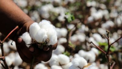 Tarsus Ticaret Borsası Yönetim Kurulu Başkanı Mustafa Teke, tekstil sektöründeki