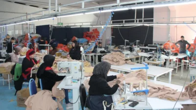 DEM Parti Mersin Milletvekili Perihan Koca, Meclis Genel Kurulunda yaptığı