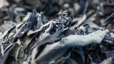 Circulose, moda endüstrisinde döngüsel malzemelerin kullanımını genişletme çabalarını artırmak amacıyla