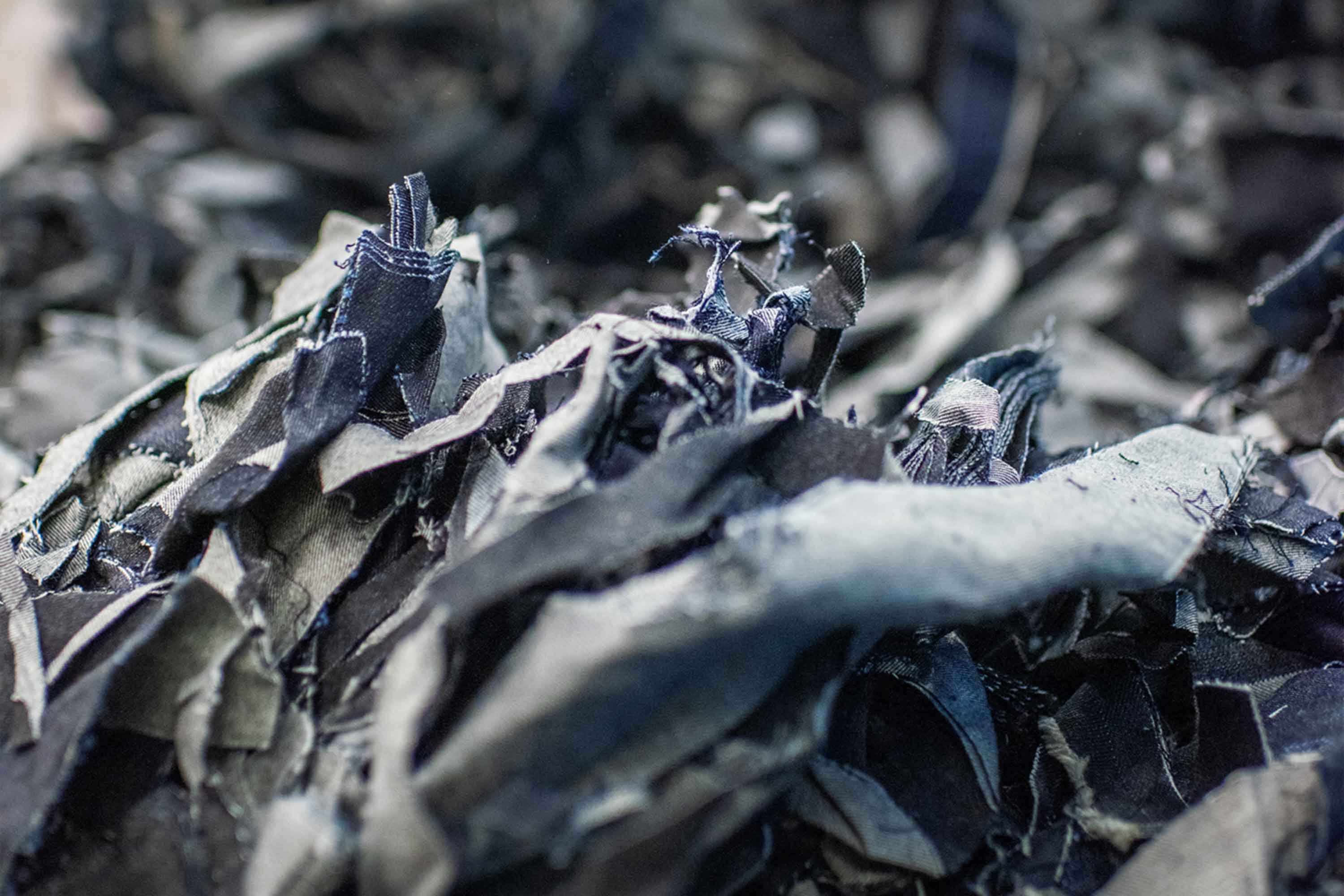 Circulose, moda endüstrisinde döngüsel malzemelerin kullanımını genişletme çabalarını artırmak amacıyla