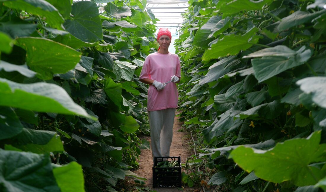 Edirne'de tekstil fabrikasındaki işini bırakarak yüzde 75 devlet desteğiyle kurduğu