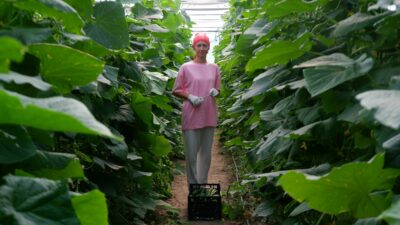 Edirne'de tekstil fabrikasındaki işini bırakarak yüzde 75 devlet desteğiyle kurduğu